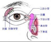 福州眼科医院：泪器疾病的特色
